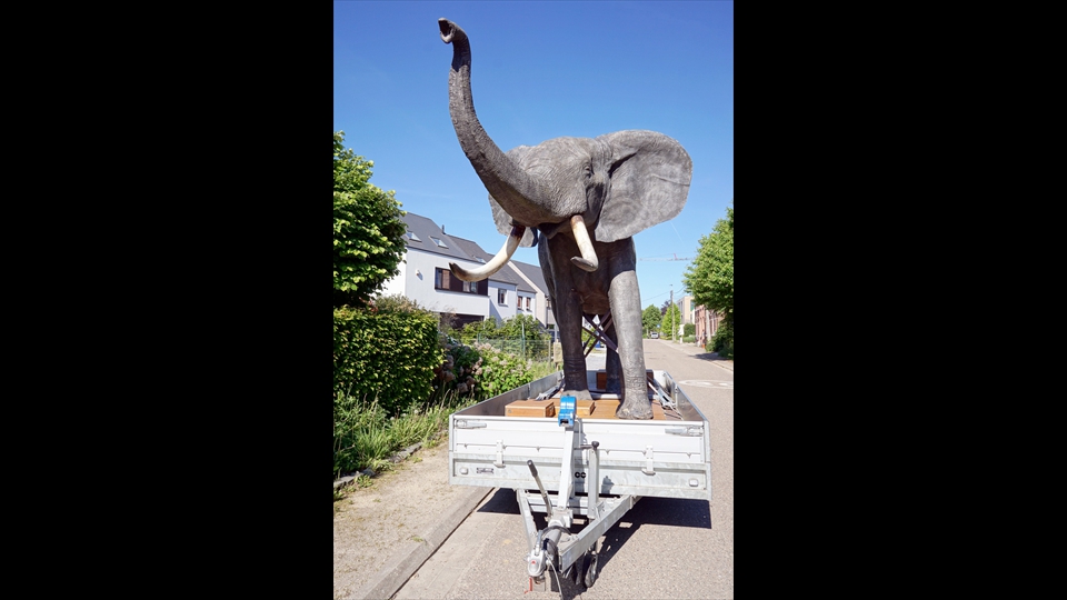 13-Hans Denis-olifant