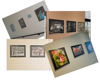 Permanente tentoonstellingen