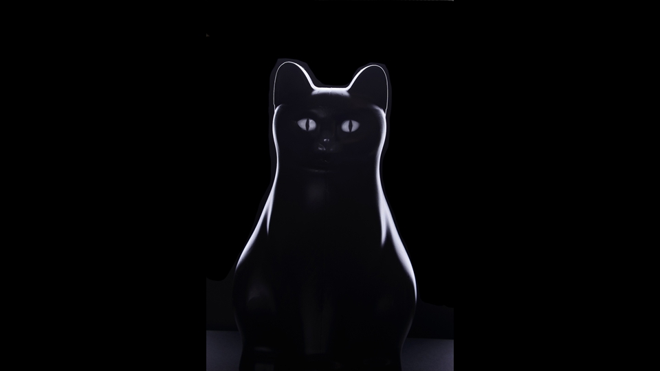27-Chris Verhaegen-zwarte kat in de nacht