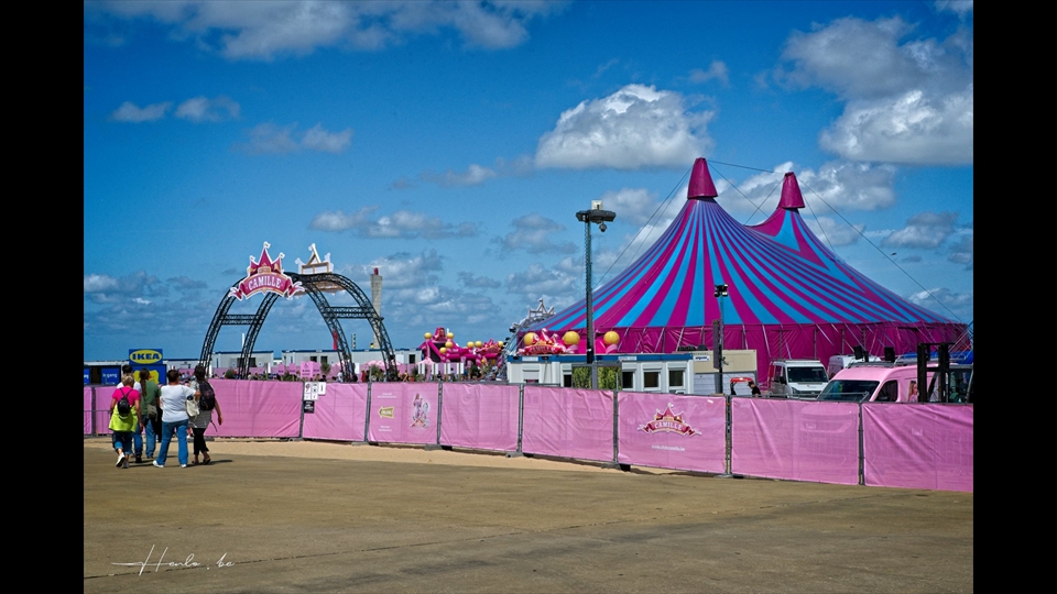 02-Henri Lombaerts-Camille circus
