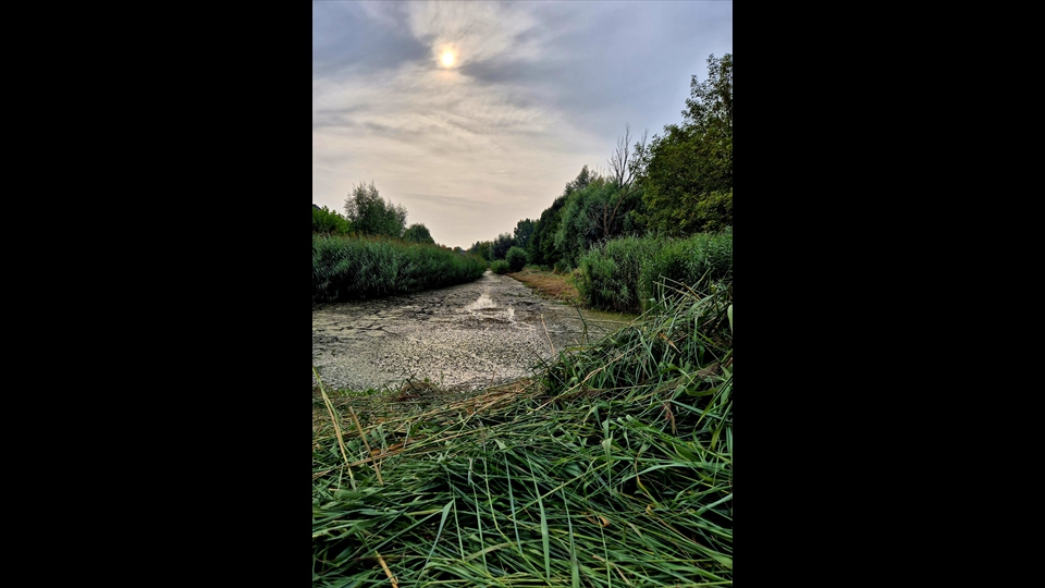 13-Marijke Couder-Texel
