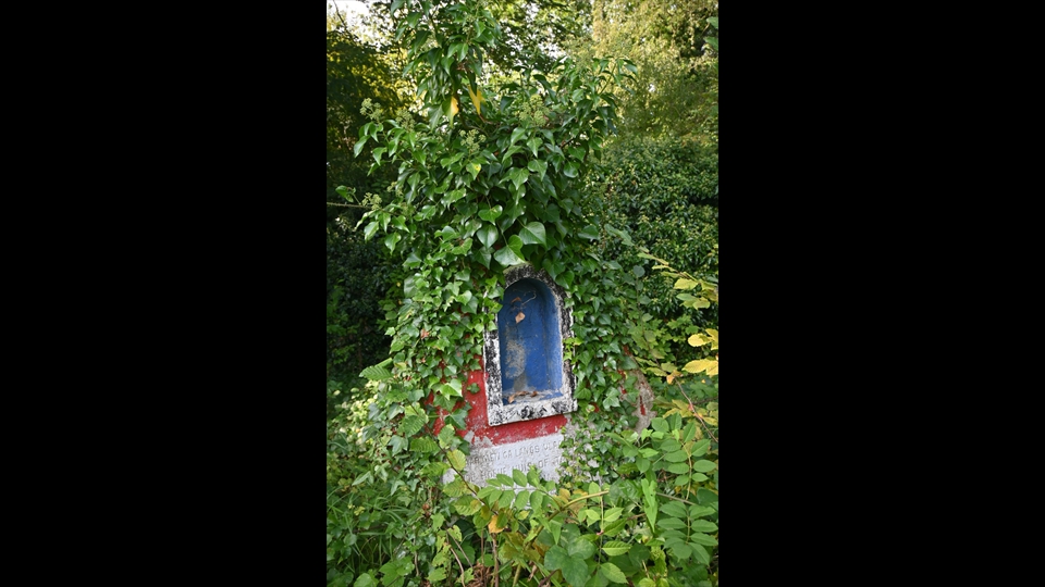 14-Guido De Keyzer - geborgen in het groen