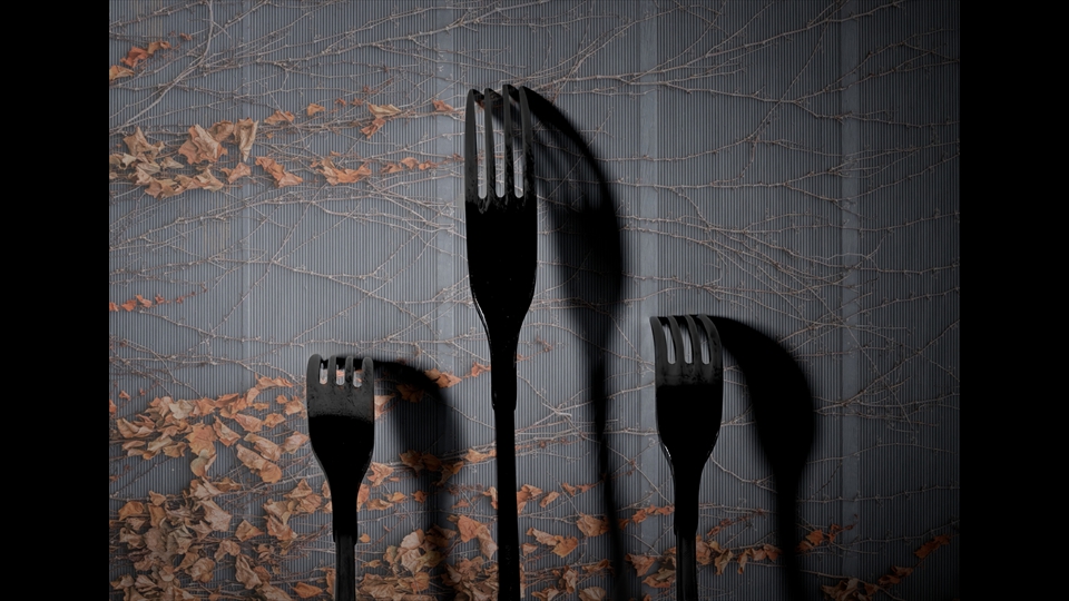 17-Henri Lombaerts-Blaadjes harken_H274734