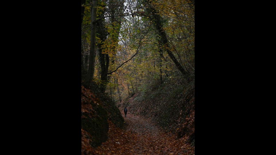 19-Guido De Keyzer - Somber