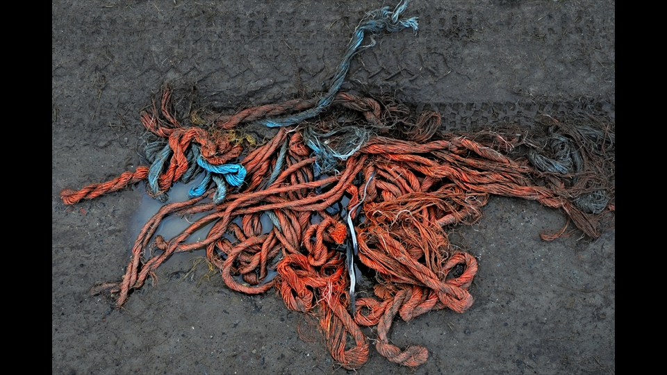 21-Hans Denis-orangebluec