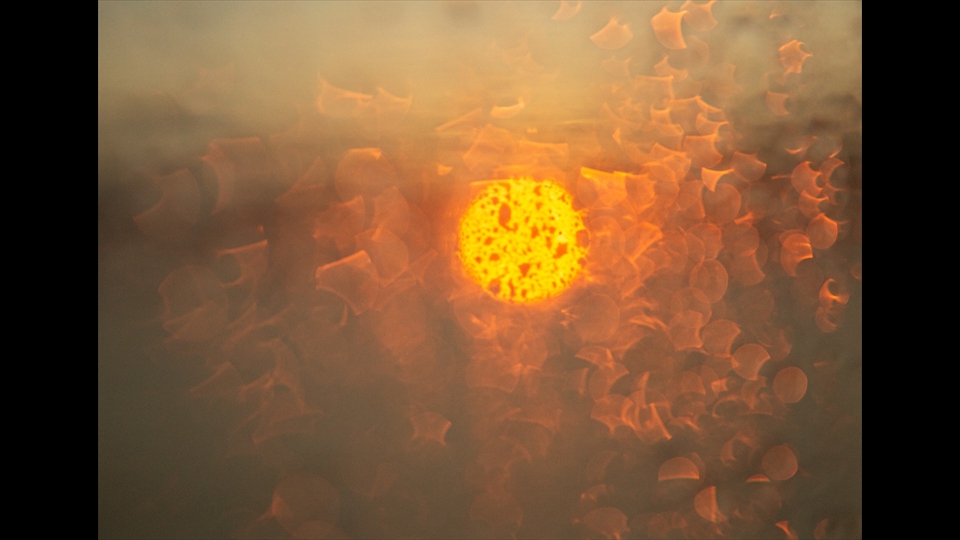 10 - Carine De Laet - ochtend