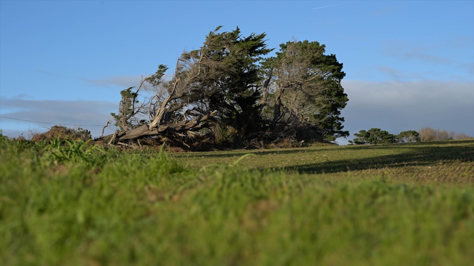 02 - Alex Etien - Kracht van de natuur