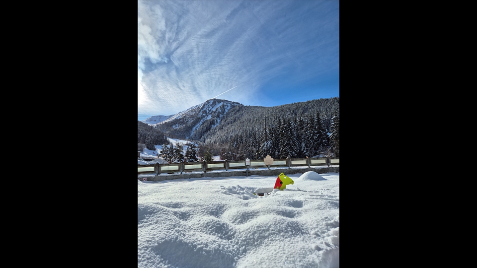 31-Marijke-Couder-Verdronken-paard