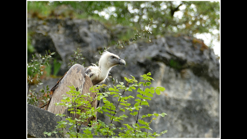 09-Luc Beckers-Onverwacht bezoek