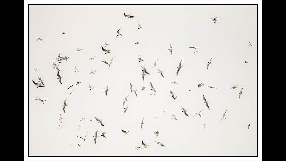 01-Erik verelst-vlucht