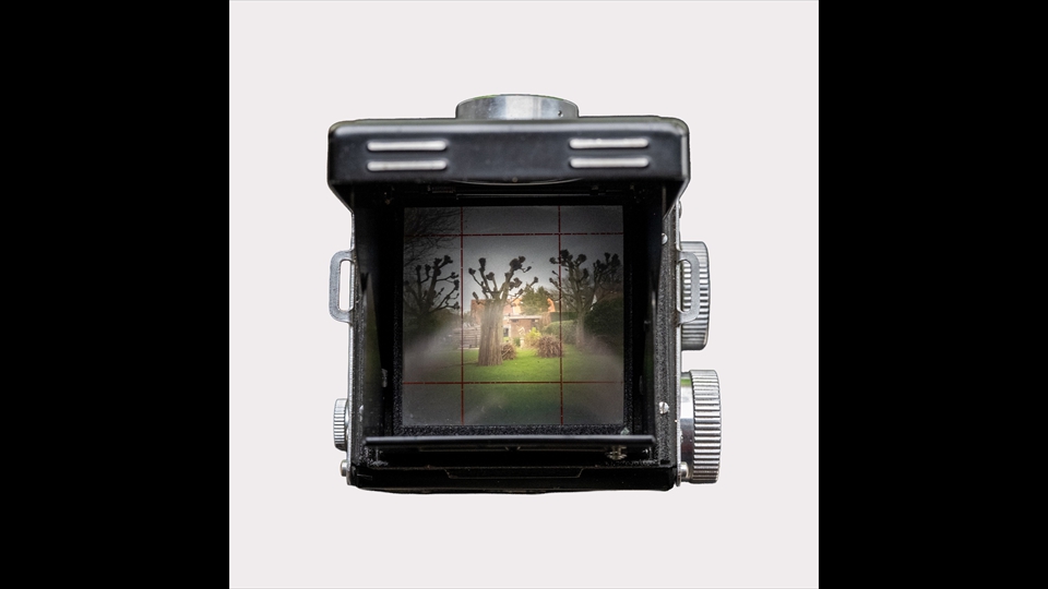 02-Chris Verhaegen-Yashica