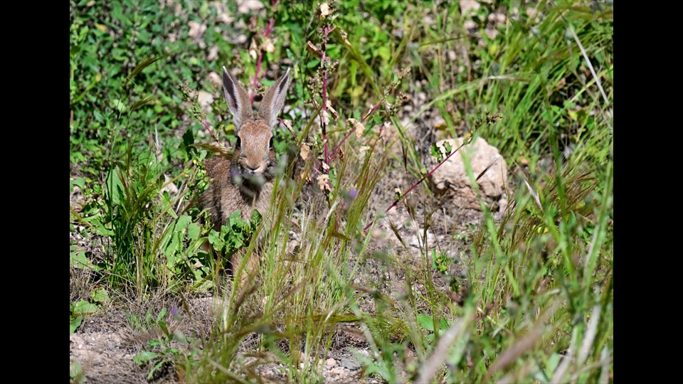 07-Jos Claes-Zoek mij
